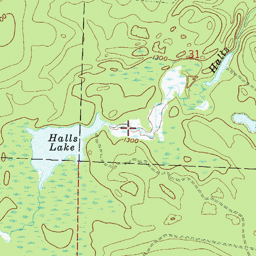 Topographic Map of Halls Lake 4.95, WI