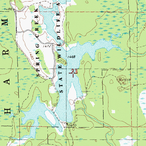 Topographic Map of Spring Creek Flowage 55, WI