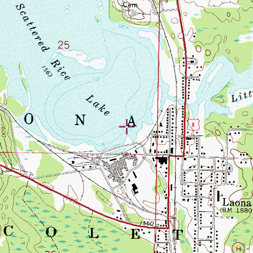 Topographic Map of Scattered Rice Lake 38, WI