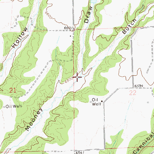 Topographic Map of Butch Henry Draw, CO