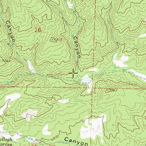 Topographic Map of Cottonwood Canyon, CO