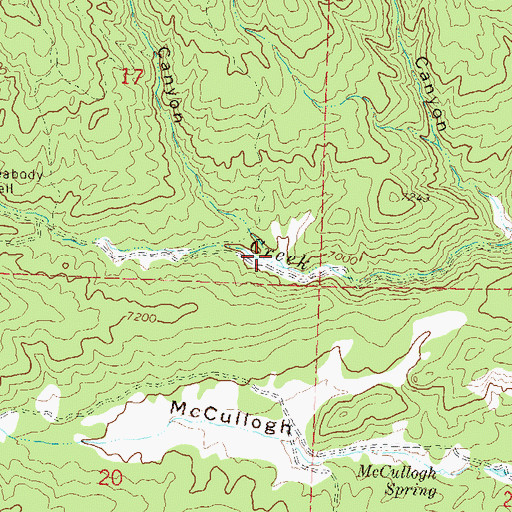 Topographic Map of Box Canyon, CO