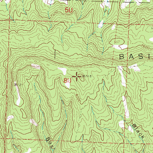 Topographic Map of Basin Mountain, CO