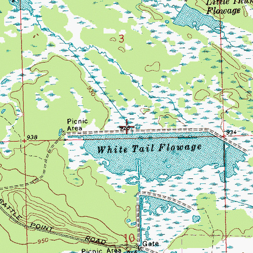 Topographic Map of Whitetail Flowage 12, WI