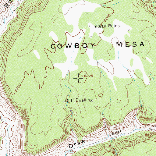 Topographic Map of Cowboy Mesa, CO