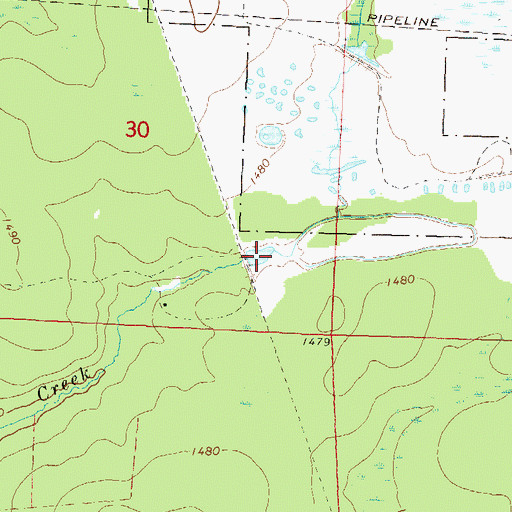 Topographic Map of Gleason Flowage 2, WI