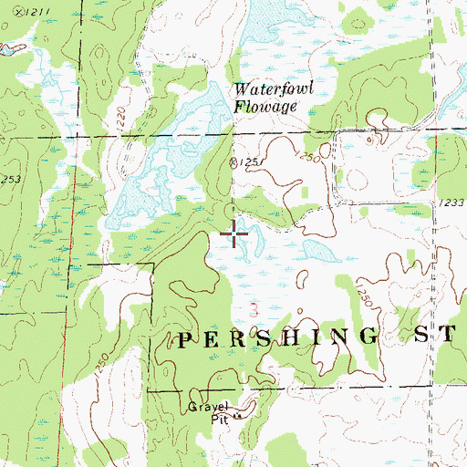 Topographic Map of Lake Ellis Flowage 3-3-0.3, WI