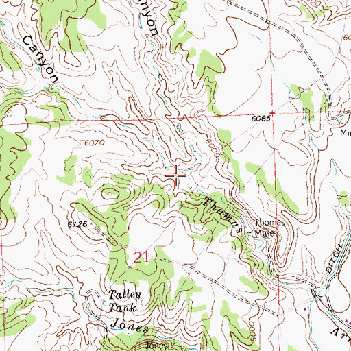 Topographic Map of North Thomas Canyon, NM