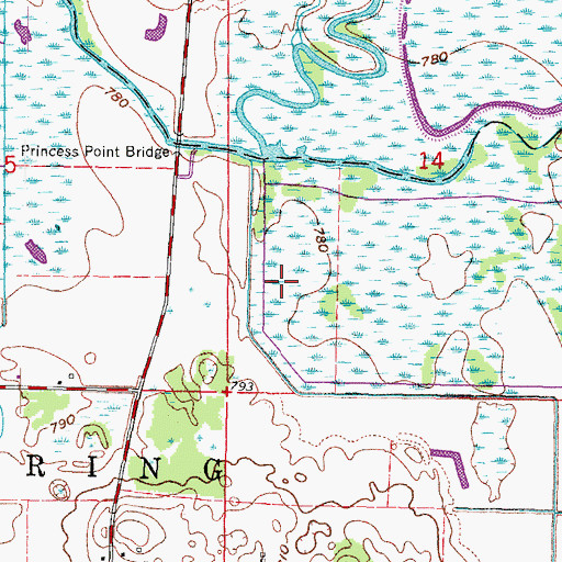 Topographic Map of Princes Point WLA Number 1 H2.117 Dam, WI