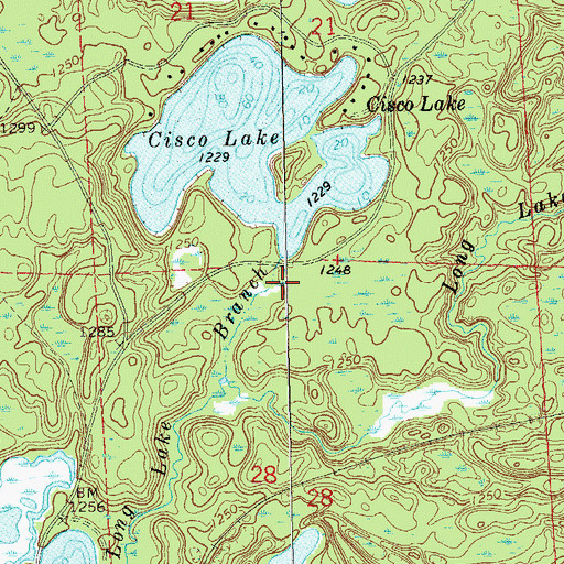 Topographic Map of Cisco Lake 0.41, WI