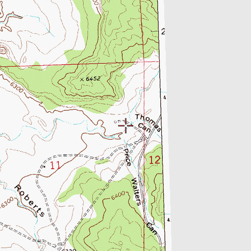 Topographic Map of Thomas Canyon, CO