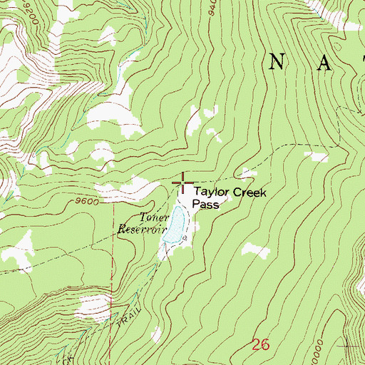 Topographic Map of Taylor Creek Pass, CO