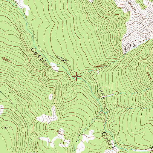 Topographic Map of Iola Creek, CO