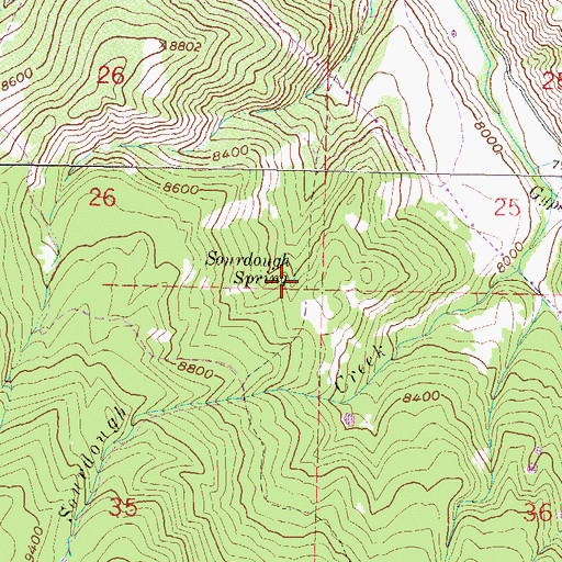 Topographic Map of Sourdough Spring, CO