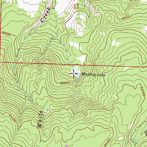 Topographic Map of Muckey Lake, CO