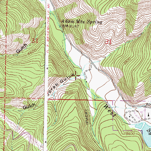 Topographic Map of Borah Gulch, CO