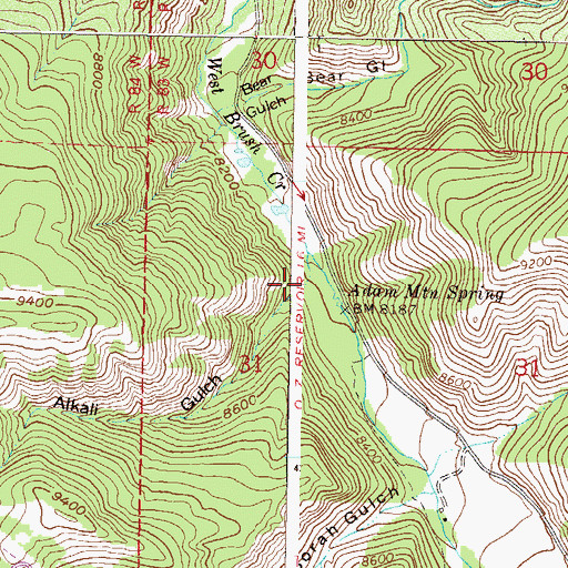 Topographic Map of Alkali Gulch, CO