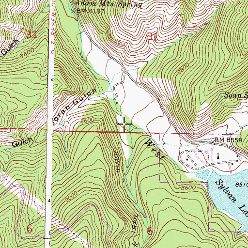 Topographic Map of Antones Cabin Creek, CO