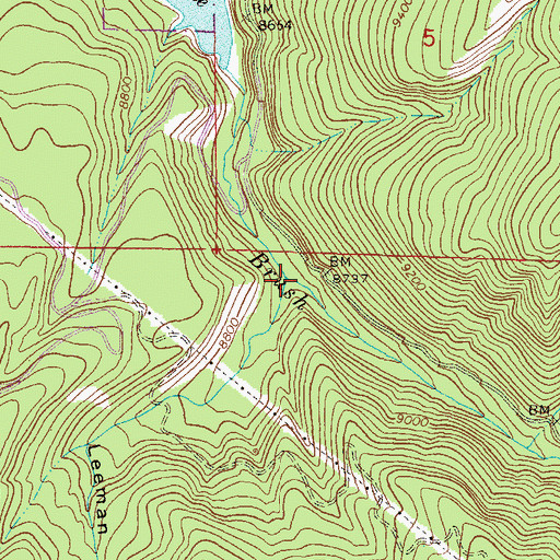 Topographic Map of Leeman Gulch, CO