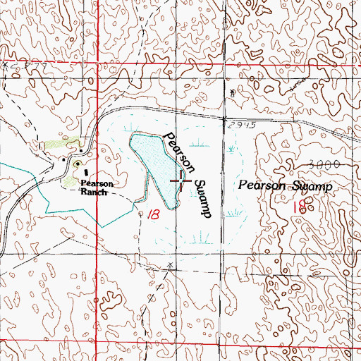 Topographic Map of Pearson Swamp, NE