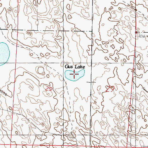 Topographic Map of Gus Lake, NE