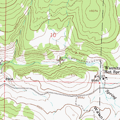 Topographic Map of Lower Waunita Hot Springs, CO