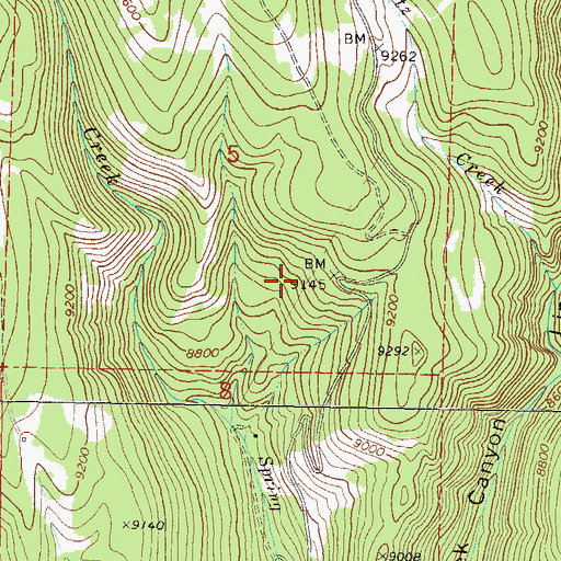 Topographic Map of Kuntz Creek, CO