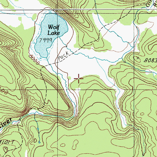 Topographic Map of Wolf Lake Springs, WY