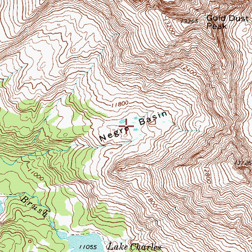 Topographic Map of Negro Basin, CO