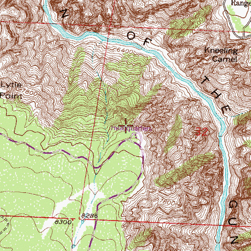 Topographic Map of Gunnison Point, CO