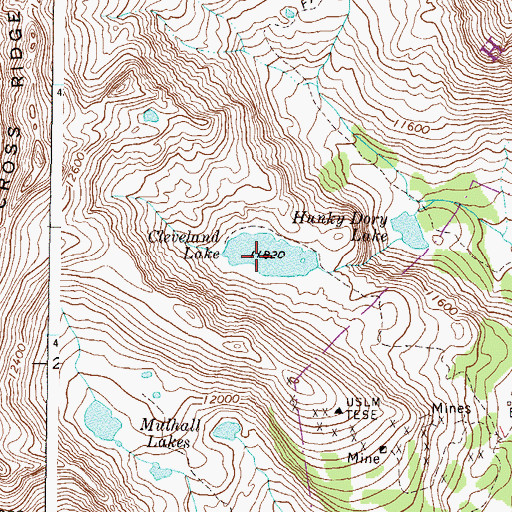 Topographic Map of Cleveland Lake, CO