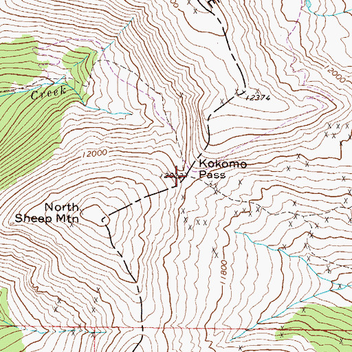 Topographic Map of Kokomo Pass, CO