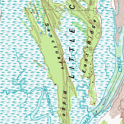 Topographic Map of Sanctuary Ridge, GA