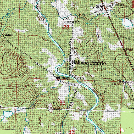 Topographic Map of Salmon Prairie School, MT