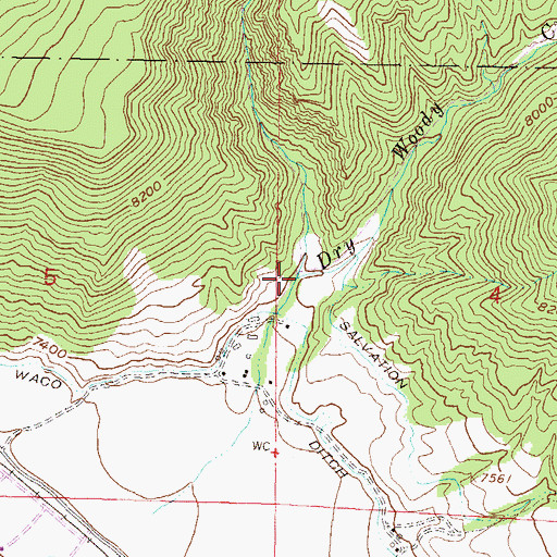 Topographic Map of Dry Woody Creek, CO