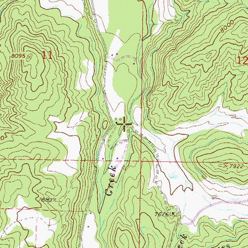Topographic Map of Wildcat Creek, CO