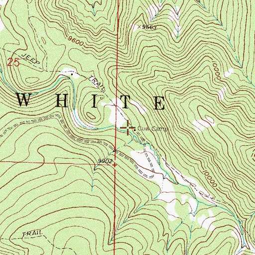 Topographic Map of Cow Camp, CO