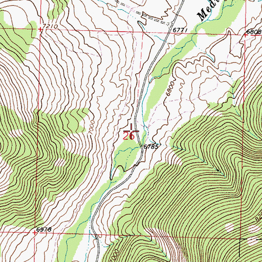 Topographic Map of Medicine Lodge (historical), MT