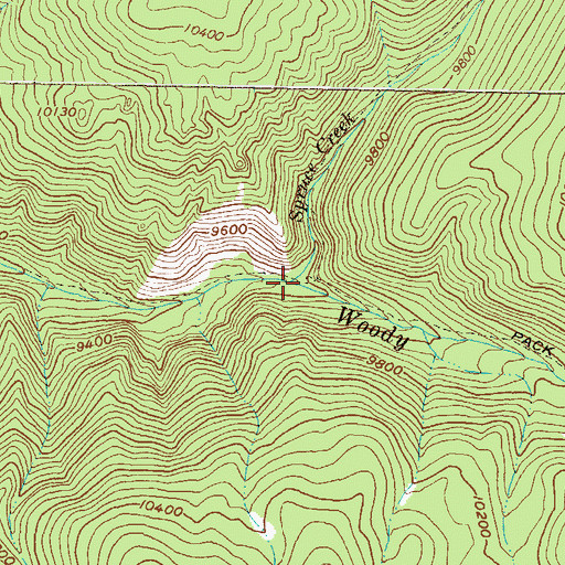 Topographic Map of Spruce Creek, CO