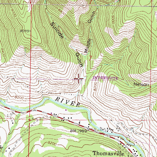 Topographic Map of Nelson Gulch, CO