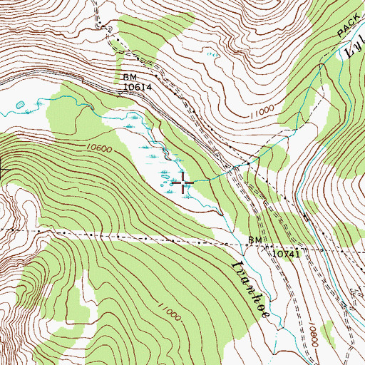 Topographic Map of Lyle Creek, CO