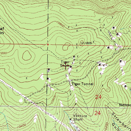 Topographic Map of Tiger Shaft, CO