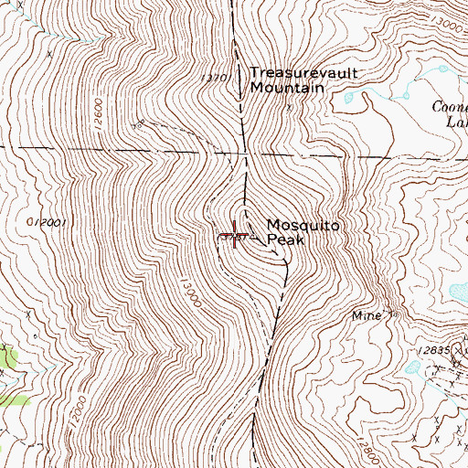 Topographic Map of Mosquito Peak, CO