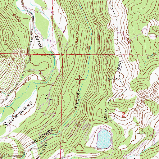 Topographic Map of McKenzie Wildcat Ditch, CO