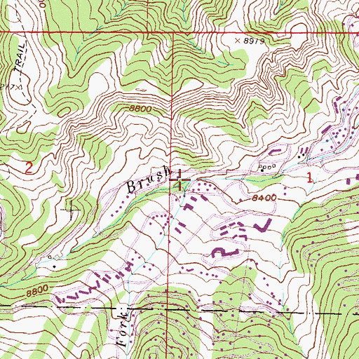 Topographic Map of West Fork Brush Creek, CO