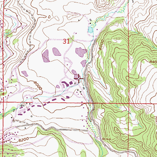 Topographic Map of East Fork Brush Creek, CO