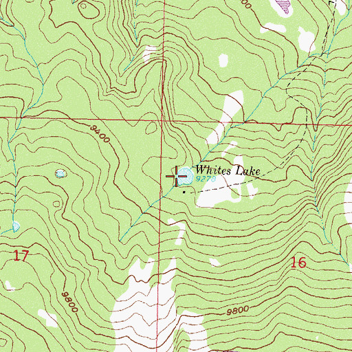 Topographic Map of Whites Lake, CO