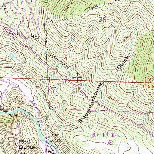 Topographic Map of Red Mountain Ditch, CO