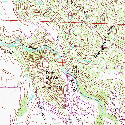 Topographic Map of Slaughterhouse Gulch, CO