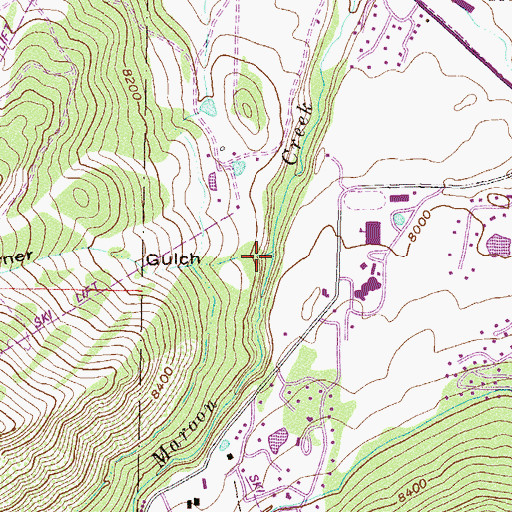 Topographic Map of Sterner Gulch, CO